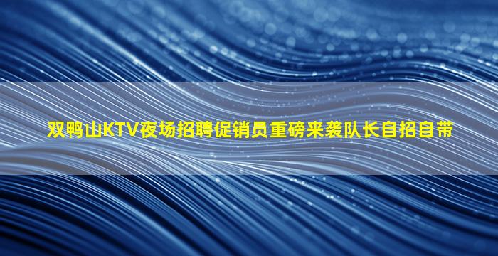 双鸭山KTV夜场招聘促销员重磅来袭队长自招自带